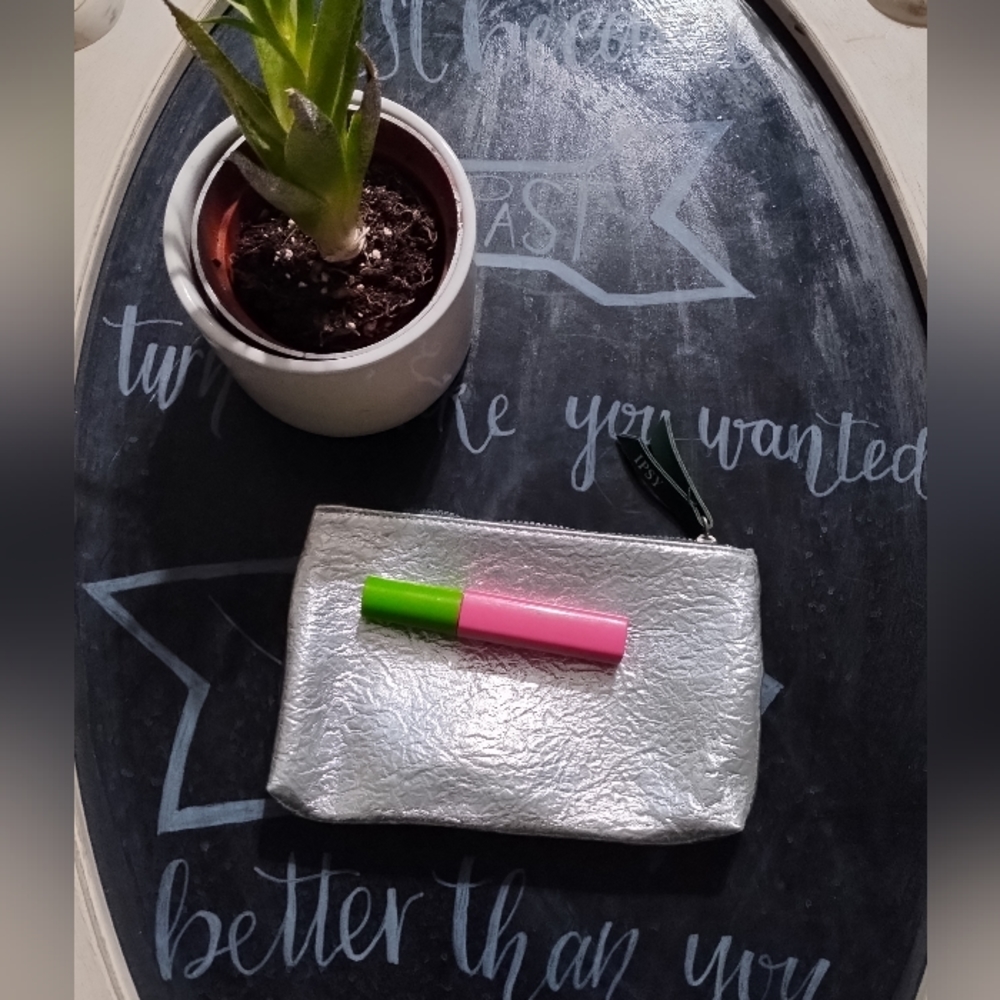 ❤️FREE WITH PURCHASE❤️Cosmetics Bag Ipsy Silver Wrinkle Makeup Bag